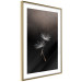 Wall Poster Soaring Moment - delicate white dandelion flowers on a black background 137274 additionalThumb 14