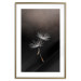 Wall Poster Soaring Moment - delicate white dandelion flowers on a black background 137274 additionalThumb 18