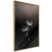 Wall Poster Soaring Moment - delicate white dandelion flowers on a black background 137274 additionalThumb 11