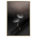 Wall Poster Soaring Moment - delicate white dandelion flowers on a black background 137274 additionalThumb 20