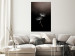 Wall Poster Soaring Moment - delicate white dandelion flowers on a black background 137274 additionalThumb 9