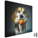 Canvas Art Print AI Beagle Dog - Portrait of a Animal With Three Balls in Its Mouth - Square 150174 additionalThumb 8