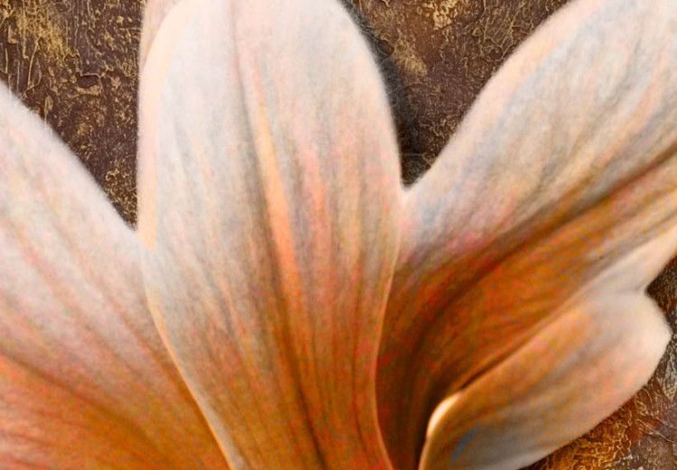 Canvas Nature of Magnolias (1-piece) - Bright flowers on a brown-toned background 48474 additionalImage 3