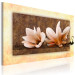 Canvas Nature of Magnolias (1-piece) - Bright flowers on a brown-toned background 48474 additionalThumb 2