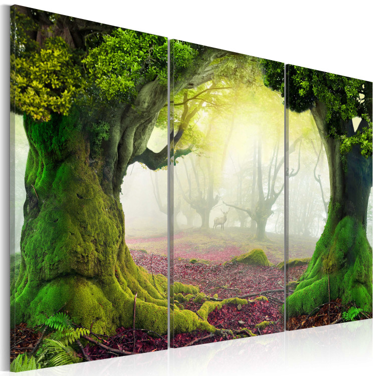Canvas Print Mysterious forest - triptych 58474 additionalImage 2