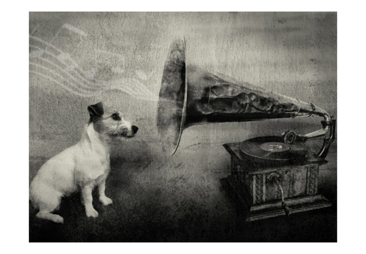 Wall Mural Music from the Turntable - Black and white dog listening to music with musical notes 61274 additionalImage 1