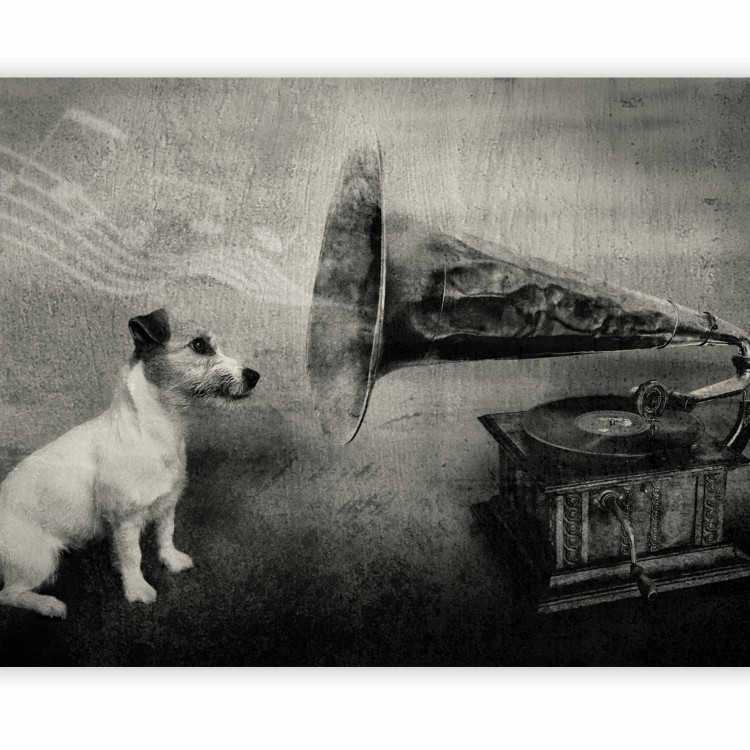 Wall Mural Music from the Turntable - Black and white dog listening to music with musical notes 61274 additionalImage 5