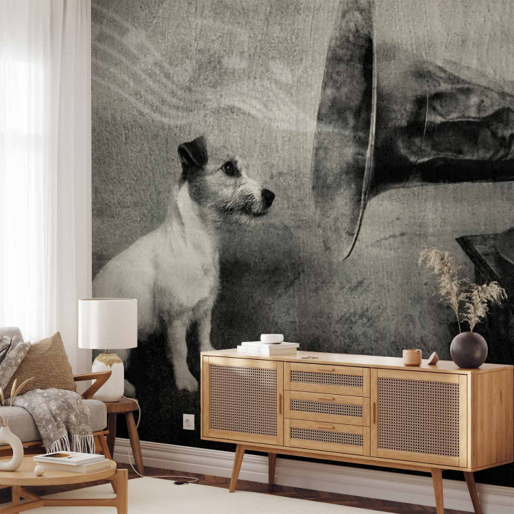 Wall Mural Music from the Turntable - Black and white dog listening to music with musical notes 61274