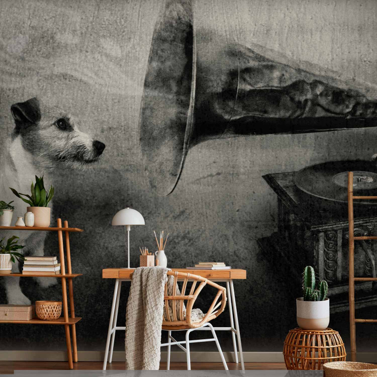 Wall Mural Music from the Turntable - Black and white dog listening to music with musical notes 61274 additionalImage 4