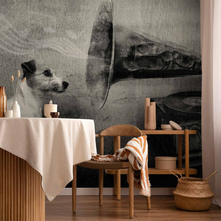 Wall Mural Music from the Turntable - Black and white dog listening to music with musical notes 61274 additionalImage 6