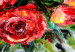 Canvas Flowers of Love 90574 additionalThumb 4