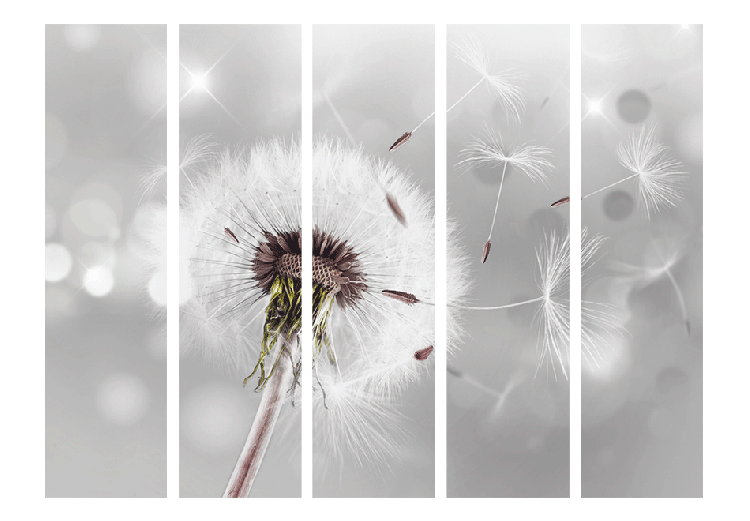 Room Divider Capturing the Transient II - romantic dandelion flower on a gray background 95374 additionalImage 3