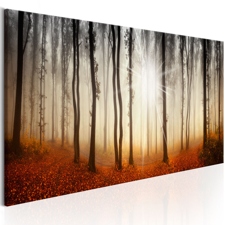 Canvas Print Autumn Mist - Golden Season in the Forest with Sunset Background 97374 additionalImage 2