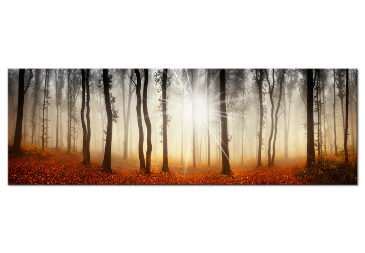 Canvas Print Autumn Mist - Golden Season in the Forest with Sunset Background 97374