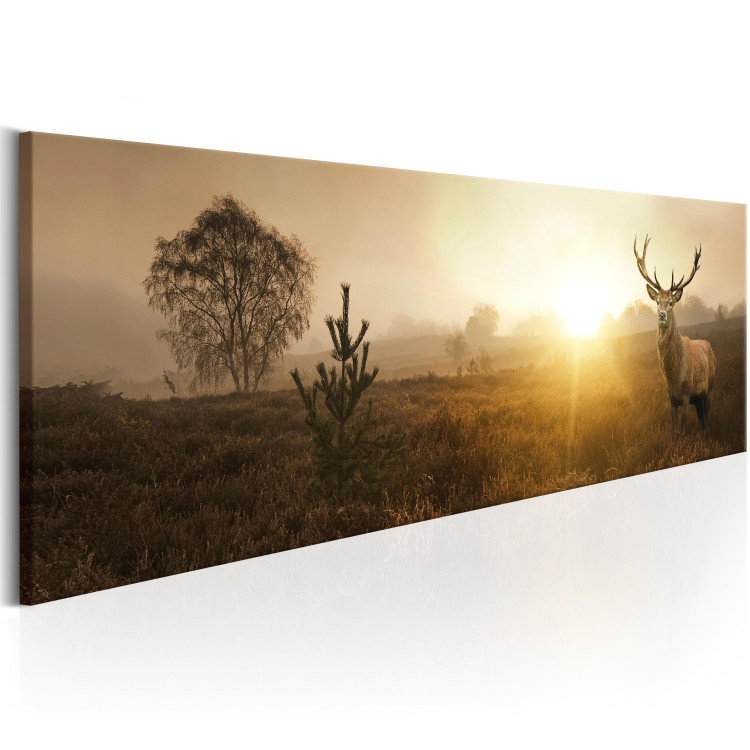 Canvas Print Misty Morning (1-piece) - Grass Fields with Deer and Trees 106084 additionalImage 2