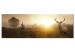 Canvas Print Misty Morning (1-piece) - Grass Fields with Deer and Trees 106084