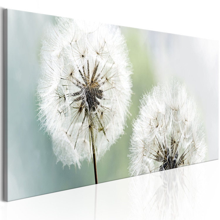 Canvas Art Print Romantic Summer (1-piece) - Fluffy Dandelions against Nature Background 106184 additionalImage 2