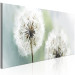 Canvas Art Print Romantic Summer (1-piece) - Fluffy Dandelions against Nature Background 106184 additionalThumb 2
