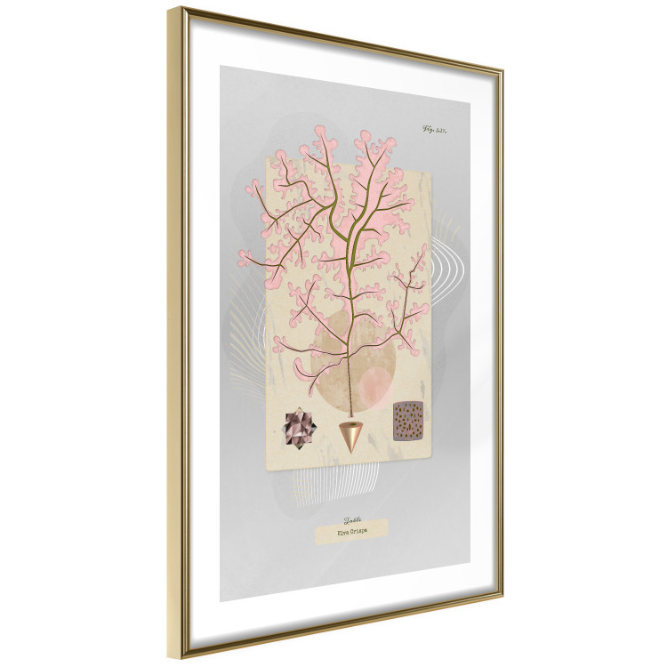 Wall Poster Mysterious Little Tree - abstraction with texts and a plant in pale colors 116884 additionalImage 6