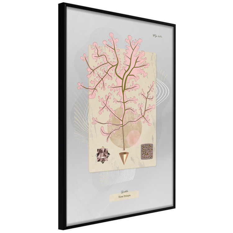 Set of wall art Misterious Plants 124738 additionalImage 5