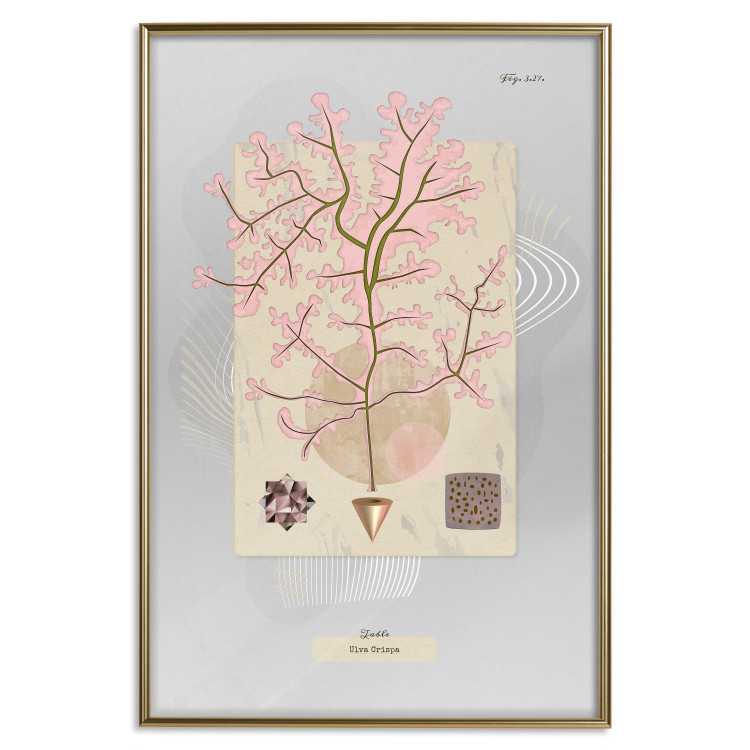 Wall Poster Mysterious Little Tree - abstraction with texts and a plant in pale colors 116884 additionalImage 16