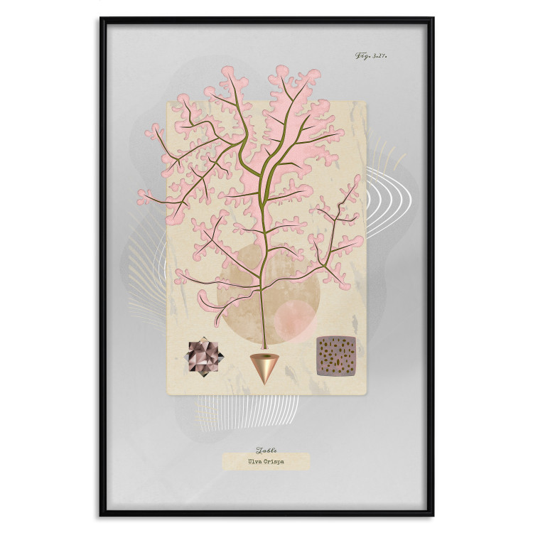 Wall Poster Mysterious Little Tree - abstraction with texts and a plant in pale colors 116884 additionalImage 18