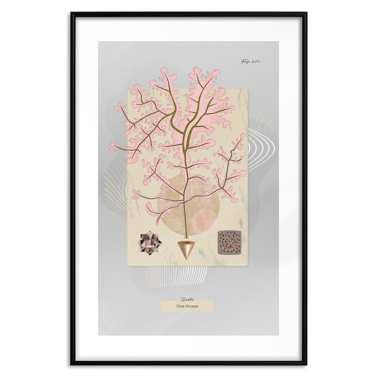 Wall Poster Mysterious Little Tree - abstraction with texts and a plant in pale colors 116884 additionalImage 15