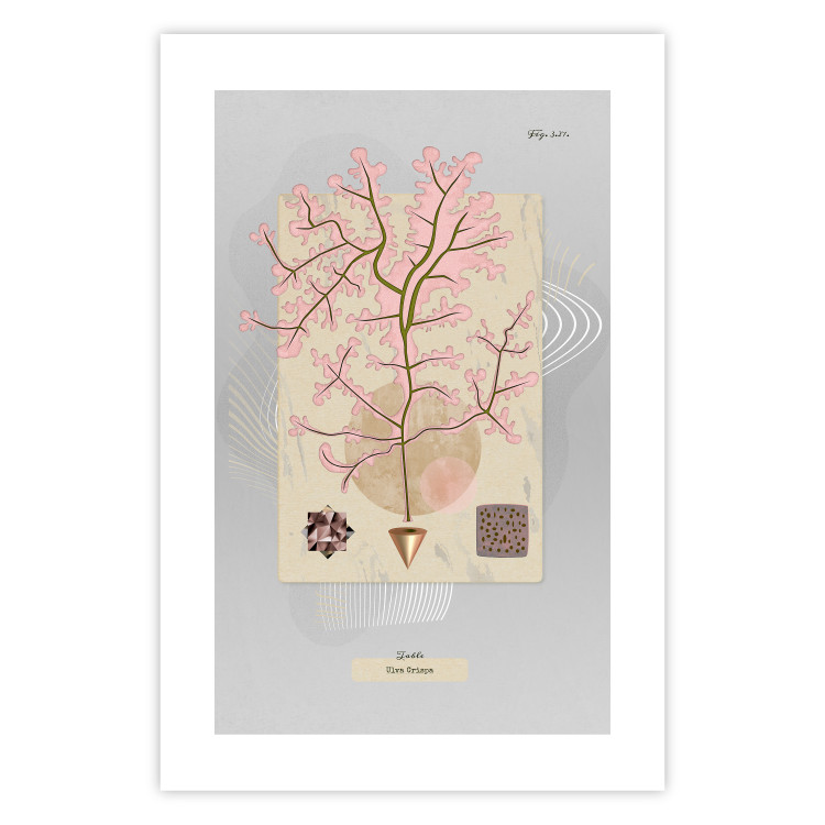 Wall Poster Mysterious Little Tree - abstraction with texts and a plant in pale colors 116884 additionalImage 19