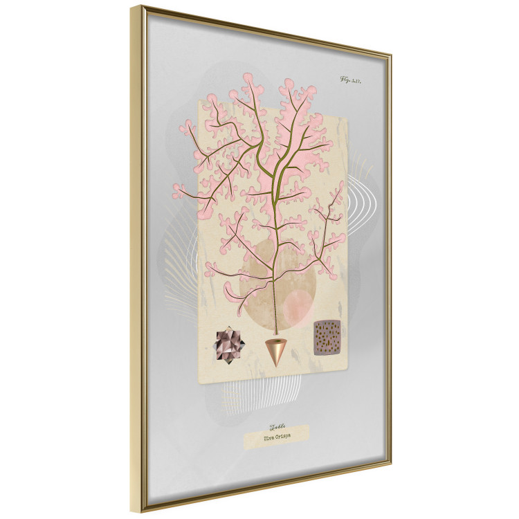Wall Poster Mysterious Little Tree - abstraction with texts and a plant in pale colors 116884 additionalImage 12