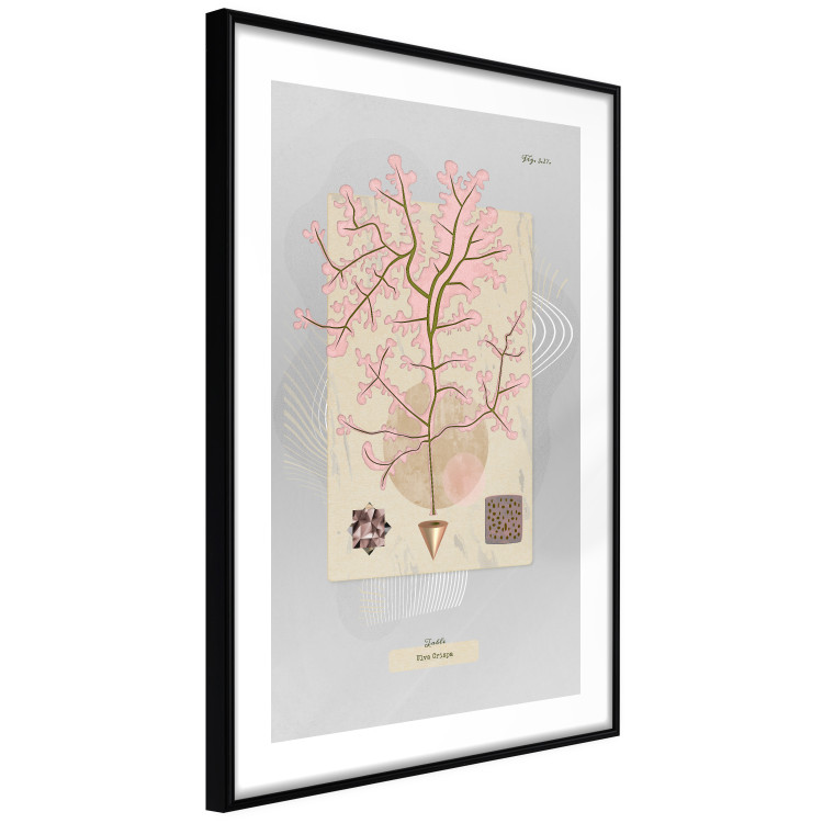 Wall Poster Mysterious Little Tree - abstraction with texts and a plant in pale colors 116884 additionalImage 11