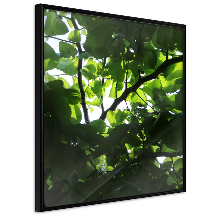 Gallery wall art Plant Details 124919 additionalImage 2