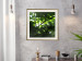 Poster Dawn - green leaves on a tree in the summer season in the middle of the day 122684 additionalThumb 21