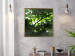 Poster Dawn - green leaves on a tree in the summer season in the middle of the day 122684 additionalThumb 7