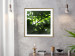 Poster Dawn - green leaves on a tree in the summer season in the middle of the day 122684 additionalThumb 15