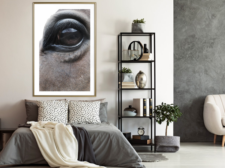 Poster Honest Eyes - close-up of a brown horse's face with a reflection in the eye 123484 additionalImage 13
