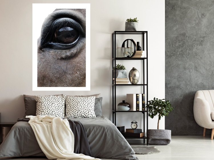 Poster Honest Eyes - close-up of a brown horse's face with a reflection in the eye 123484 additionalImage 2