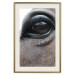Poster Honest Eyes - close-up of a brown horse's face with a reflection in the eye 123484 additionalThumb 24