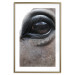 Poster Honest Eyes - close-up of a brown horse's face with a reflection in the eye 123484 additionalThumb 27