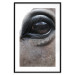 Poster Honest Eyes - close-up of a brown horse's face with a reflection in the eye 123484 additionalThumb 26