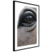 Poster Honest Eyes - close-up of a brown horse's face with a reflection in the eye 123484 additionalThumb 13