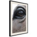 Poster Honest Eyes - close-up of a brown horse's face with a reflection in the eye 123484 additionalThumb 3