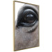 Poster Honest Eyes - close-up of a brown horse's face with a reflection in the eye 123484 additionalThumb 14