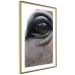 Poster Honest Eyes - close-up of a brown horse's face with a reflection in the eye 123484 additionalThumb 8