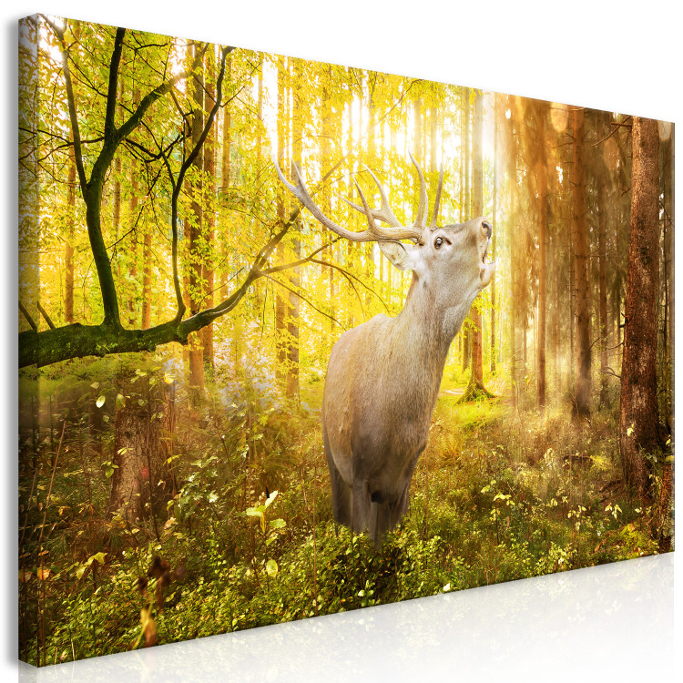 Large canvas print Roar in the Forest II [Large Format] 128684 additionalImage 2