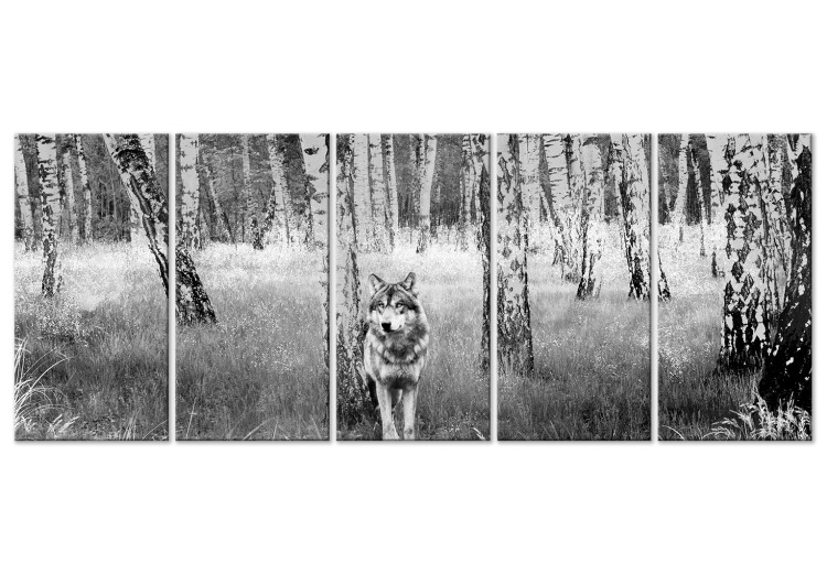 Canvas Print Lone Predator (5-part) narrow - wolf in a black and white forest 129384
