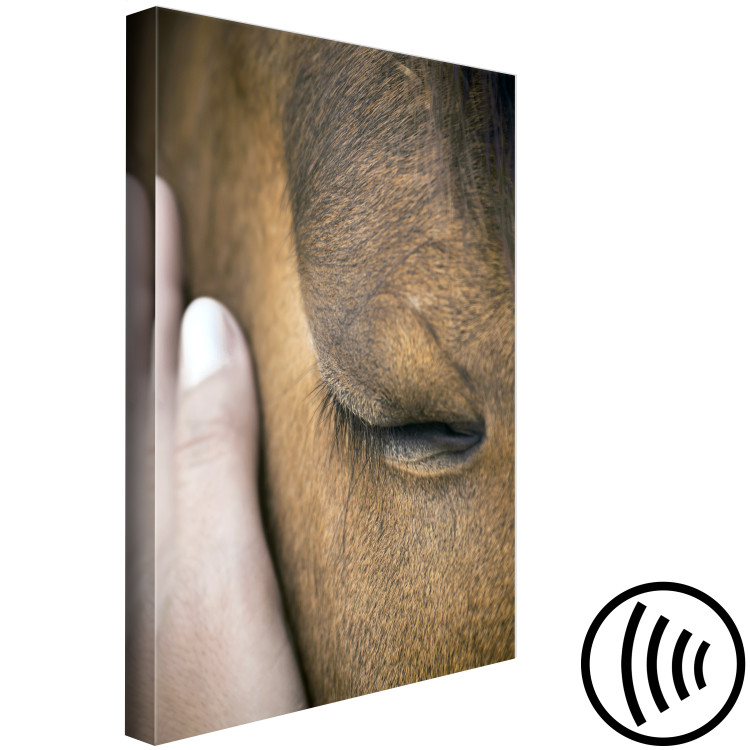 Canvas Soothing Touch (1-piece) Vertical - hand stroking a brown horse 130284 additionalImage 6