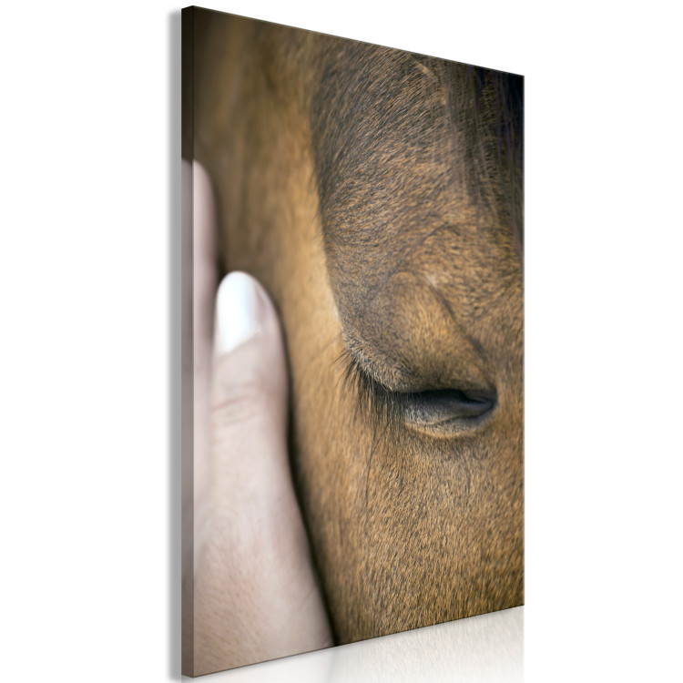 Canvas Soothing Touch (1-piece) Vertical - hand stroking a brown horse 130284 additionalImage 2