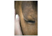 Canvas Soothing Touch (1-piece) Vertical - hand stroking a brown horse 130284