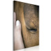 Canvas Soothing Touch (1-piece) Vertical - hand stroking a brown horse 130284 additionalThumb 2