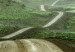 Wall Poster Road Through Plains - landscape of a road and green fields against the sky 130384 additionalThumb 12